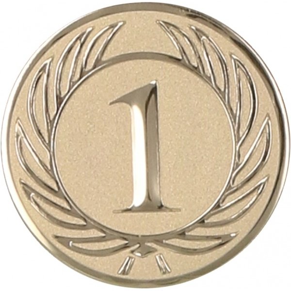Вкладыш D1 1 место А36