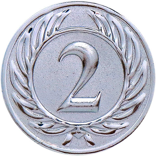 Вкладыш D1 2 место А37